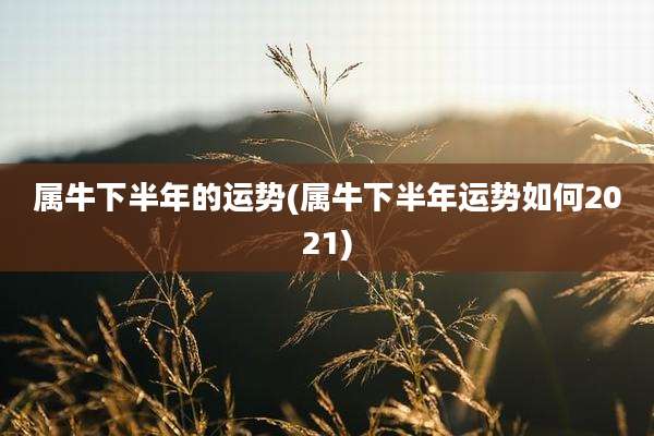 属牛下半年的运势(属牛下半年运势如何2021)