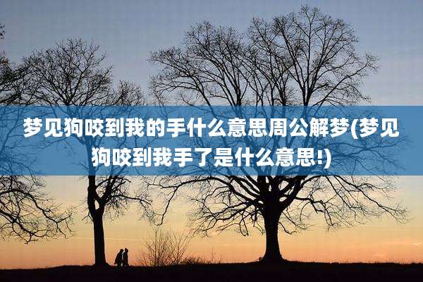 梦见狗咬到我的手什么意思周公解梦(梦见狗咬到我手了是什么意思!)