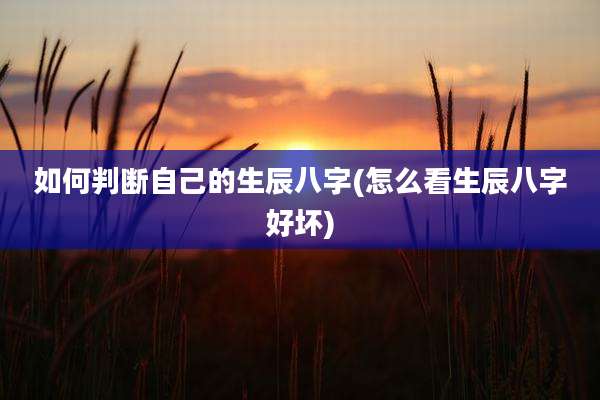 如何判断自己的生辰八字(怎么看生辰八字好坏)