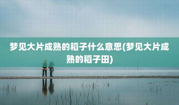 梦见大片成熟的稻子什么意思(梦见大片成熟的稻子田)