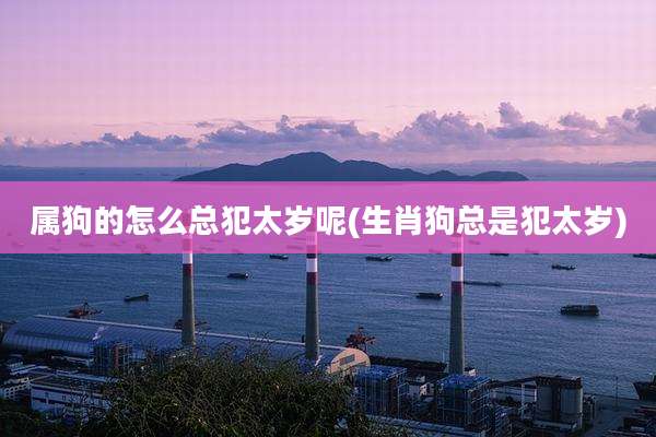 属狗的怎么总犯太岁呢(生肖狗总是犯太岁)