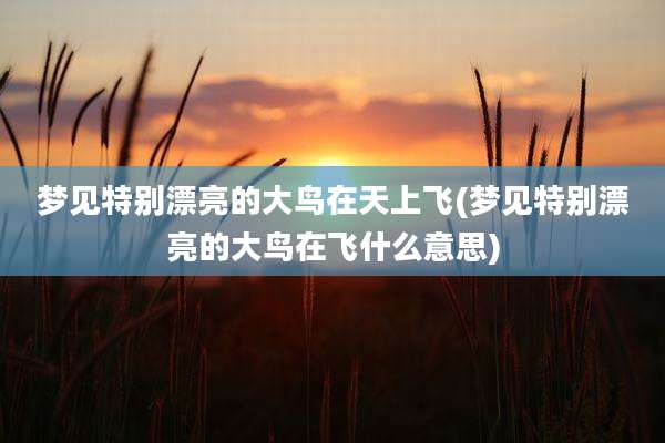 梦见特别漂亮的大鸟在天上飞(梦见特别漂亮的大鸟在飞什么意思)