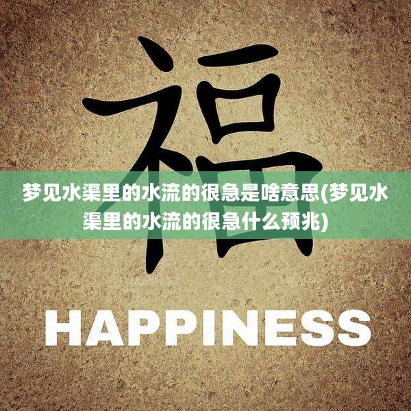 梦见水渠里的水流的很急是啥意思(梦见水渠里的水流的很急什么预兆)