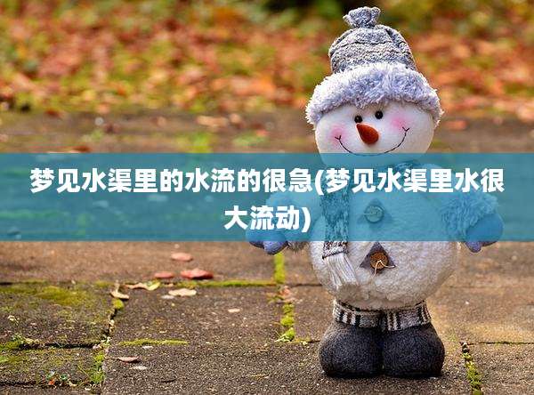 梦见水渠里的水流的很急(梦见水渠里水很大流动)