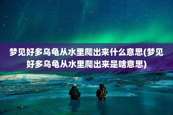 梦见好多乌龟从水里爬出来什么意思(梦见好多乌龟从水里爬出来是啥意思)