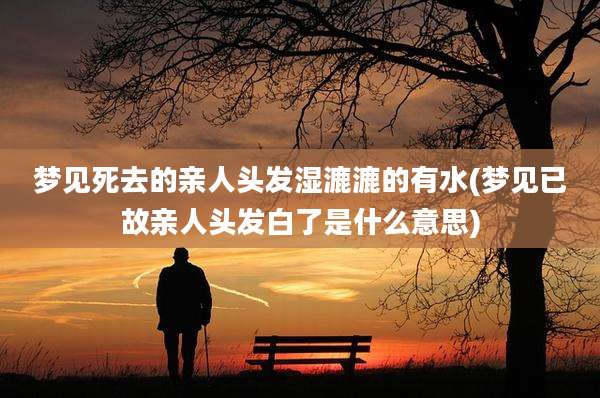 梦见死去的亲人头发湿漉漉的有水(梦见已故亲人头发白了是什么意思)