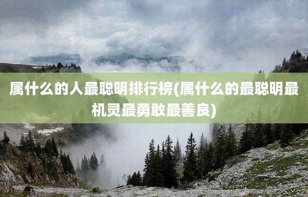 属什么的人最聪明排行榜(属什么的最聪明最机灵最勇敢最善良)