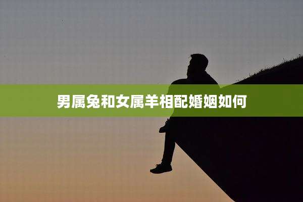 男属兔和女属羊相配婚姻如何