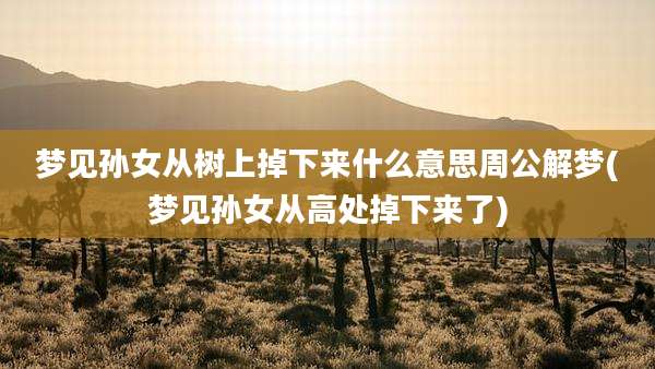 梦见孙女从树上掉下来什么意思周公解梦(梦见孙女从高处掉下来了)