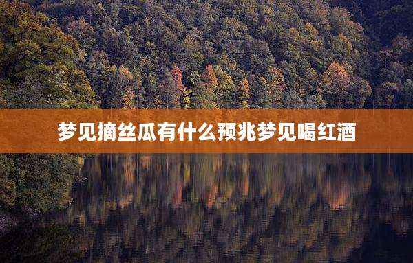 梦见摘丝瓜有什么预兆梦见喝红酒