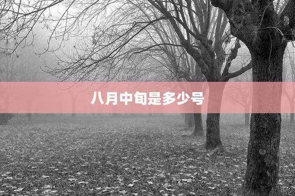 八月中旬是多少号