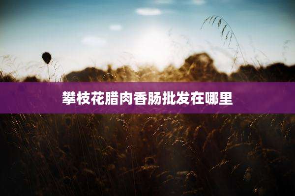 攀枝花腊肉香肠批发在哪里