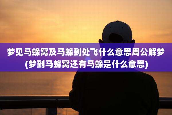 梦见马蜂窝及马蜂到处飞什么意思周公解梦(梦到马蜂窝还有马蜂是什么意思)