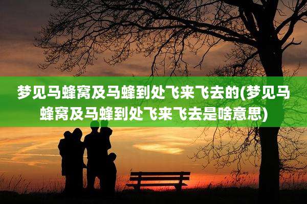梦见马蜂窝及马蜂到处飞来飞去的(梦见马蜂窝及马蜂到处飞来飞去是啥意思)