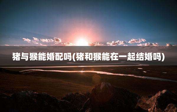 猪与猴能婚配吗(猪和猴能在一起结婚吗)
