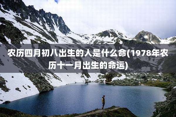 农历四月初八出生的人是什么命(1978年农历十一月出生的命运)