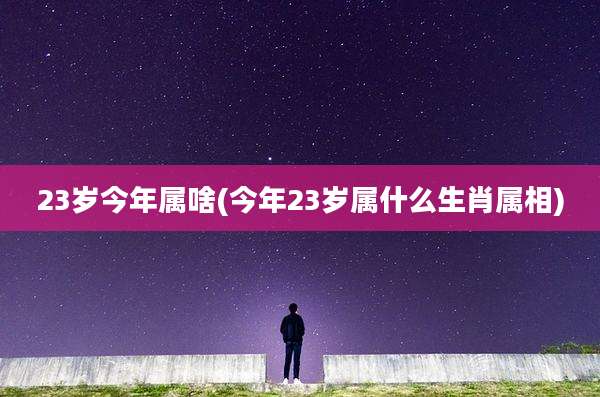 23岁今年属啥(今年23岁属什么生肖属相)