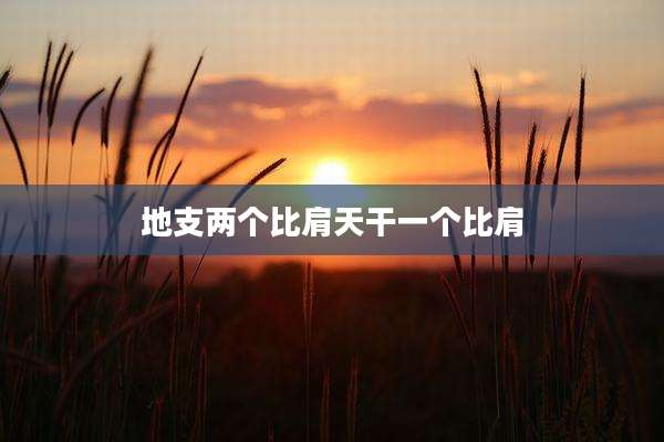 地支两个比肩天干一个比肩