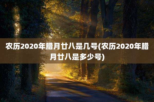 农历2020年腊月廿八是几号(农历2020年腊月廿八是多少号)