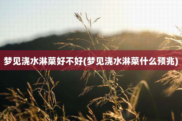 梦见浇水淋菜好不好(梦见浇水淋菜什么预兆)