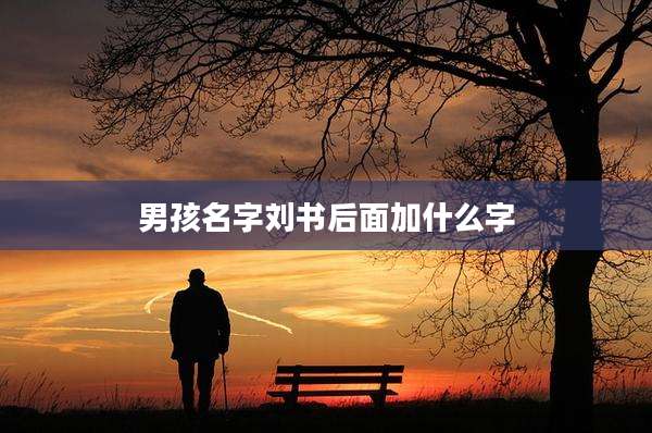男孩名字刘书后面加什么字