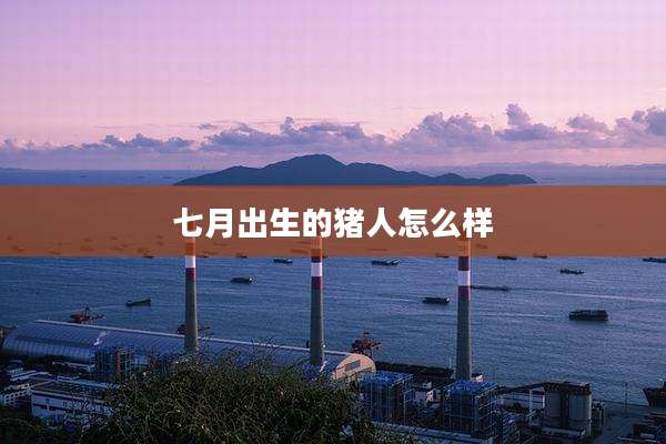 七月出生的猪人怎么样