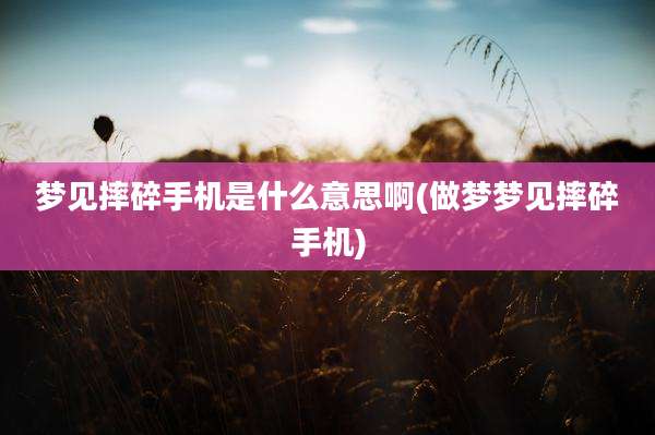 梦见摔碎手机是什么意思啊(做梦梦见摔碎手机)