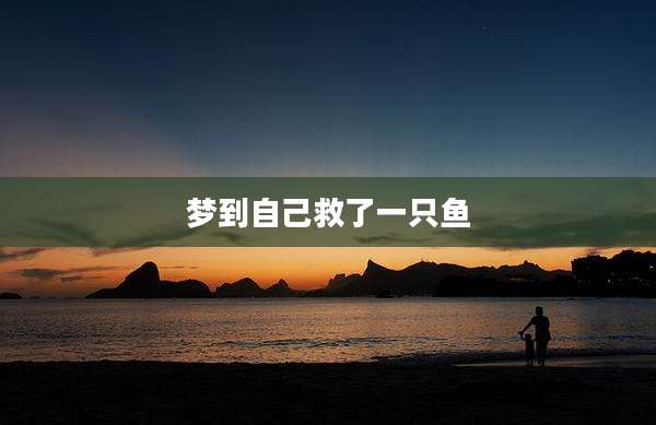 梦到自己救了一只鱼