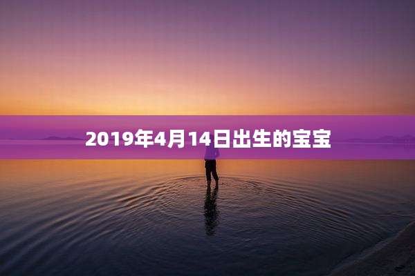 2019年4月14日出生的宝宝