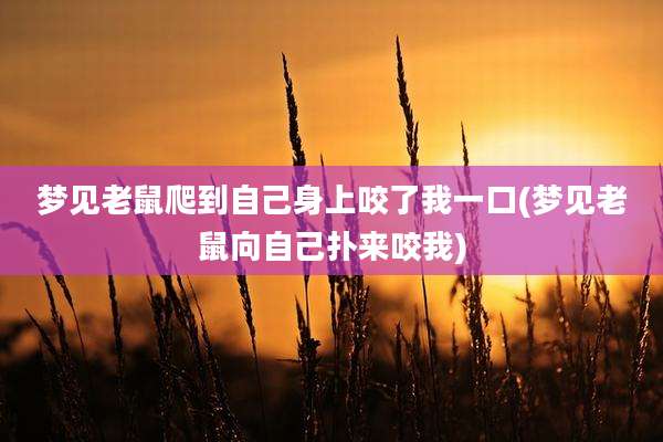 梦见老鼠爬到自己身上咬了我一口(梦见老鼠向自己扑来咬我)