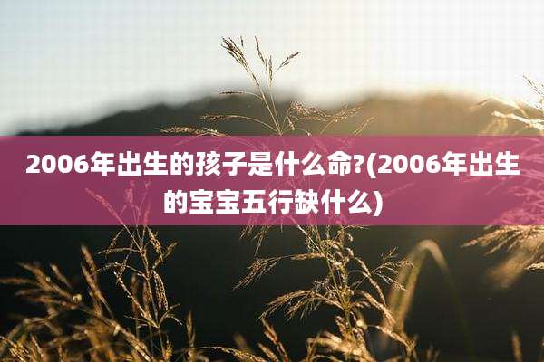 2006年出生的孩子是什么命?(2006年出生的宝宝五行缺什么)