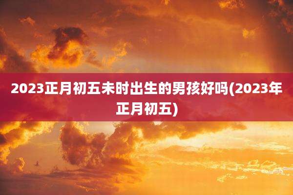 2023正月初五未时出生的男孩好吗(2023年正月初五)