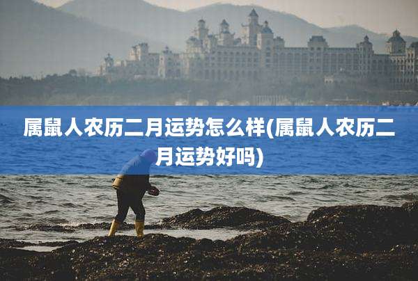 属鼠人农历二月运势怎么样(属鼠人农历二月运势好吗)