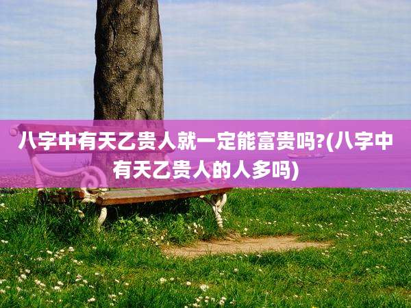 八字中有天乙贵人就一定能富贵吗?(八字中有天乙贵人的人多吗)
