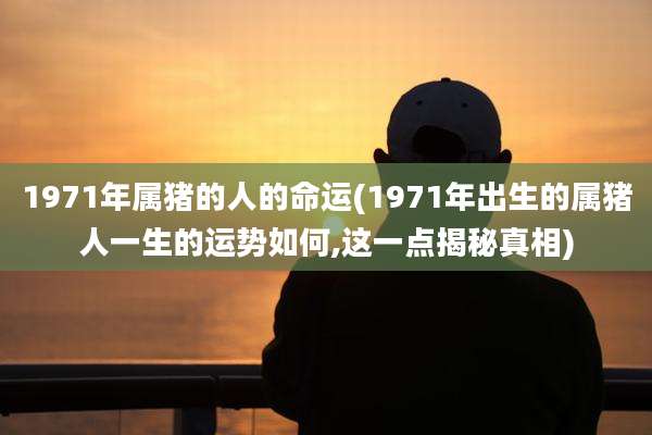 1971年属猪的人的命运(1971年出生的属猪人一生的运势如何,这一点揭秘真相)