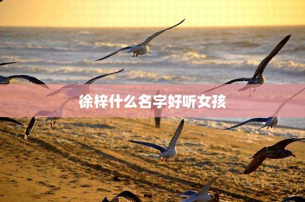 徐梓什么名字好听女孩
