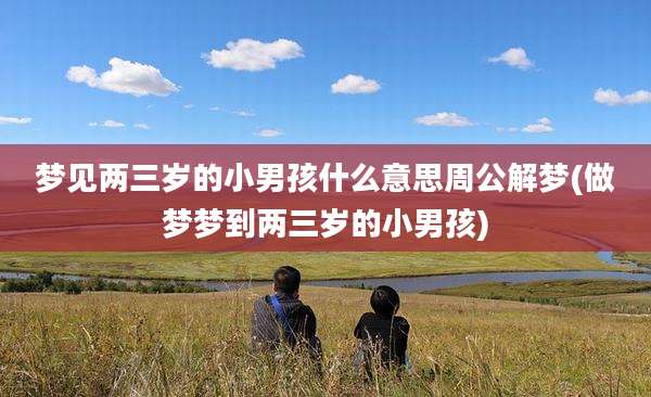 梦见两三岁的小男孩什么意思周公解梦(做梦梦到两三岁的小男孩)