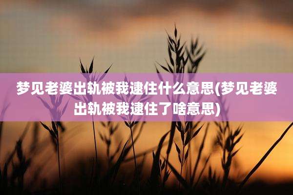 梦见老婆出轨被我逮住什么意思(梦见老婆出轨被我逮住了啥意思)