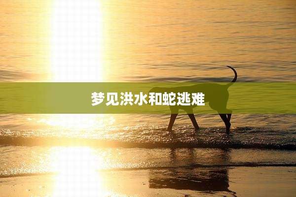 梦见洪水和蛇逃难