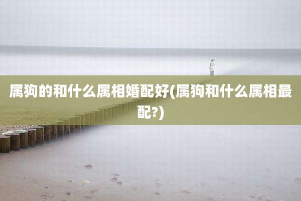属狗的和什么属相婚配好(属狗和什么属相最配?)