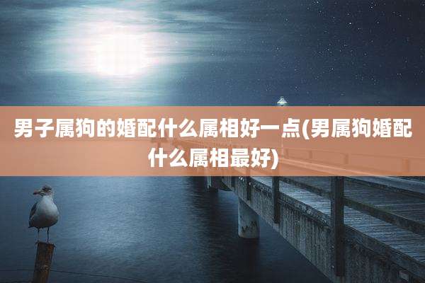 男子属狗的婚配什么属相好一点(男属狗婚配什么属相最好)