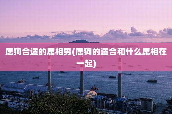 属狗合适的属相男(属狗的适合和什么属相在一起)