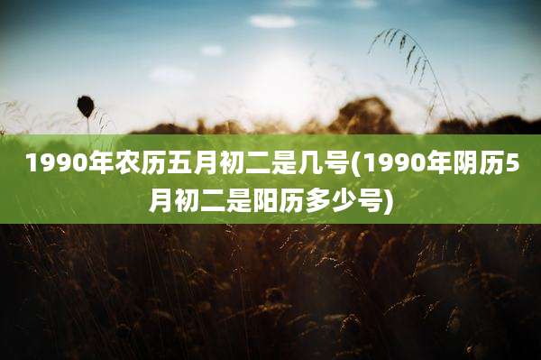 1990年农历五月初二是几号(1990年阴历5月初二是阳历多少号)