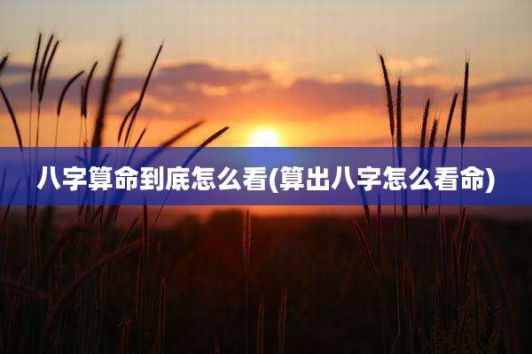 八字算命到底怎么看(算出八字怎么看命)