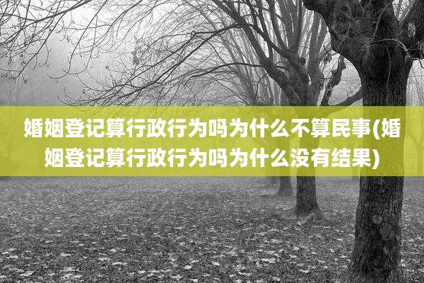 婚姻登记算行政行为吗为什么不算民事(婚姻登记算行政行为吗为什么没有结果)