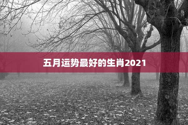 五月运势最好的生肖2021