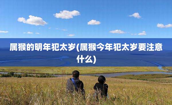 属猴的明年犯太岁(属猴今年犯太岁要注意什么)