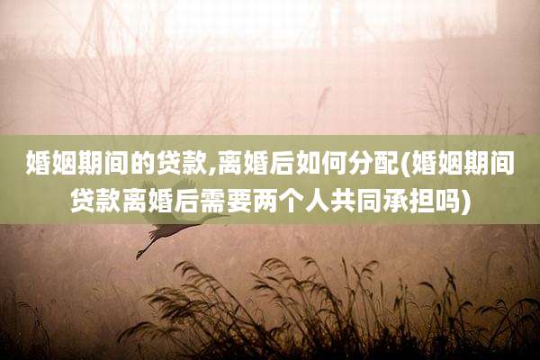 婚姻期间的贷款,离婚后如何分配(婚姻期间贷款离婚后需要两个人共同承担吗)