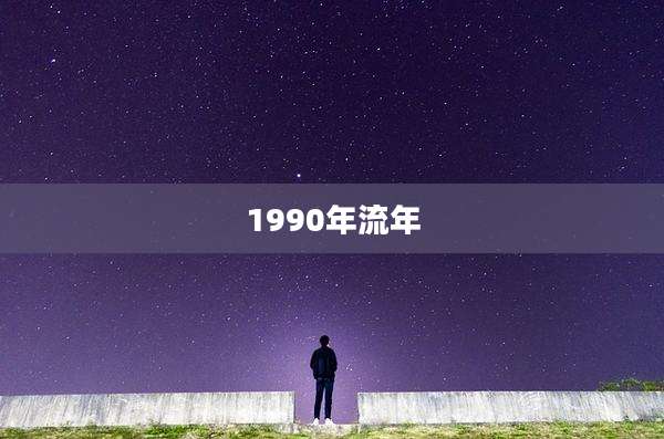 1990年流年