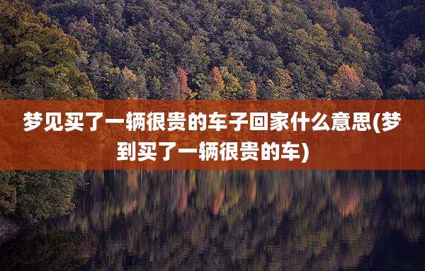梦见买了一辆很贵的车子回家什么意思(梦到买了一辆很贵的车)